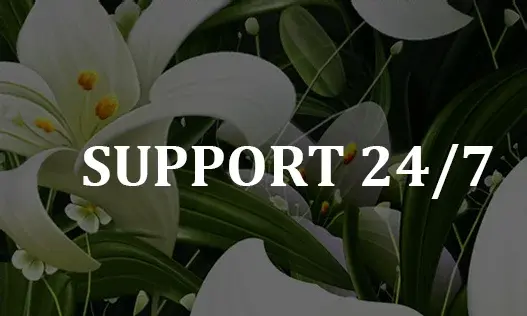 support 24/7