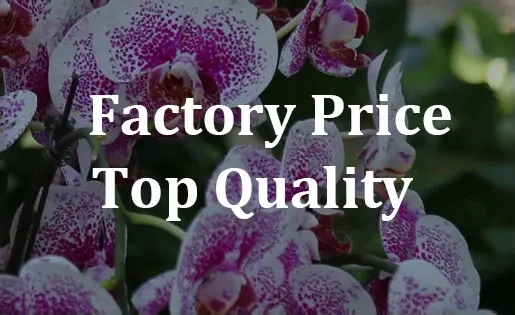 factory price top quality