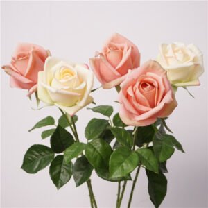 Moisturizing Gemini Rose flower