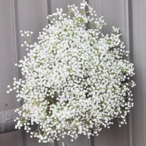 babys breath Bouquet Flowers