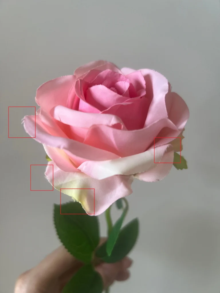 Rough petal edges