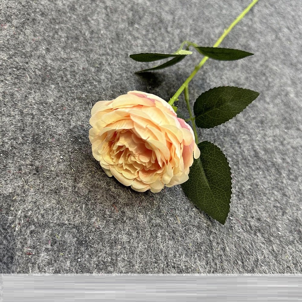 Wholesale Artificial Austin Rose Stem for Wedding Decoration rs0008 - Image 3