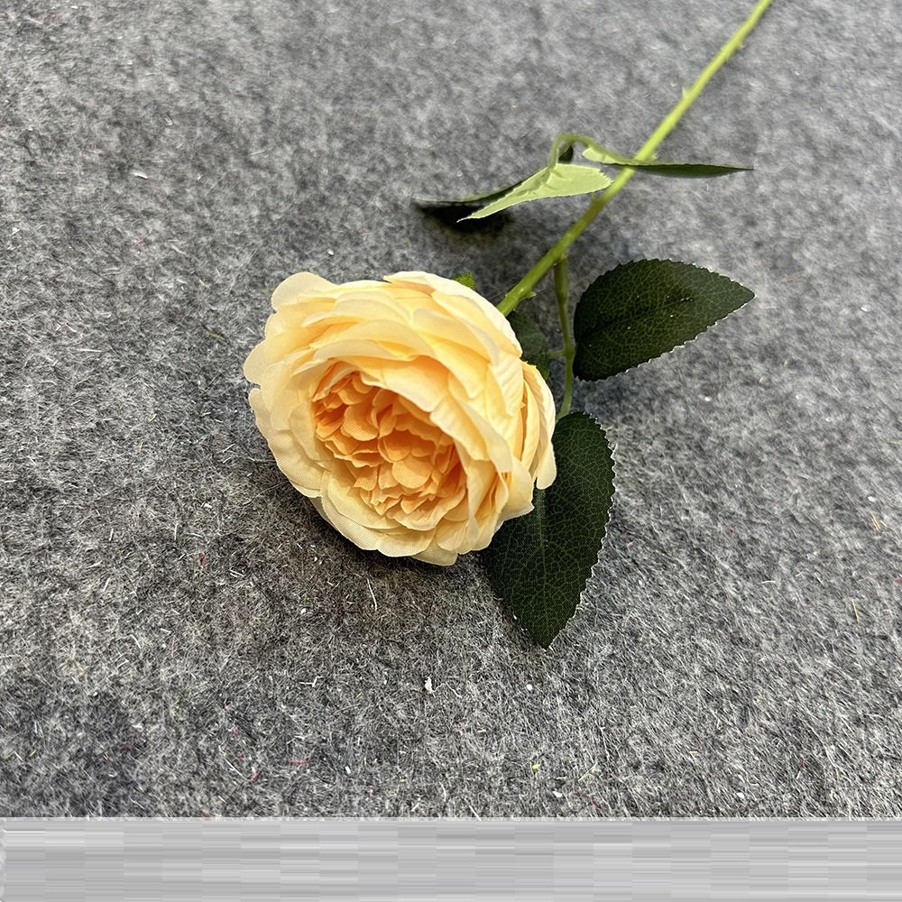 Wholesale Artificial Austin Rose Stem for Wedding Decoration rs0008 - Image 4