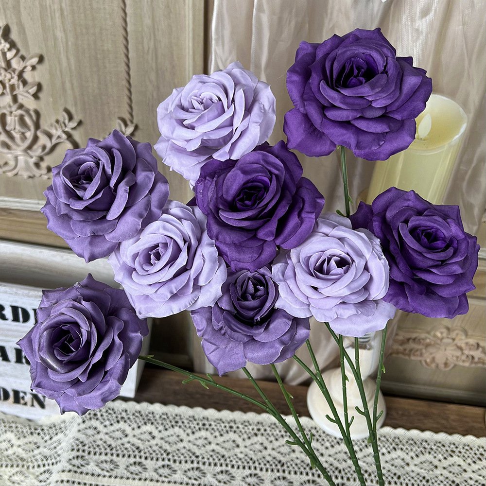 Purple Collection